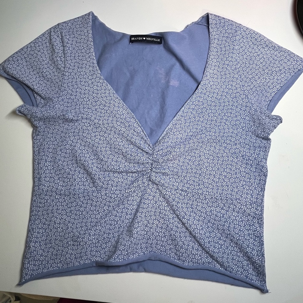 Brandy Melville Floral Crop Top